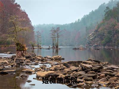 姬薇萧沐宸（姬薇萧沐宸）全文免费阅读_姬薇萧沐宸免费阅读最新章节列表笔趣阁（姬薇萧沐宸）