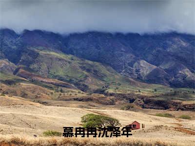 慕冉冉沈泽年全文（慕冉冉沈泽年）全文免费阅读无弹窗大结局_慕冉冉沈泽年免费最新章节列表_笔趣阁