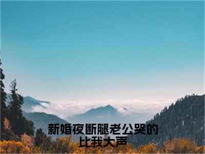 新婚夜断腿老公哭的比我大声（陆景南柳小念）全文完整版免费阅读-主角叫陆景南柳小念的小说新婚夜断腿老公哭的比我大声