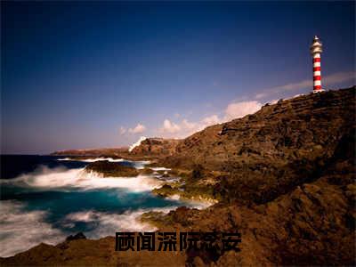 小说《顾闻深阮念安》全文免费阅读无弹窗-顾闻深阮念安小说全文在线赏析