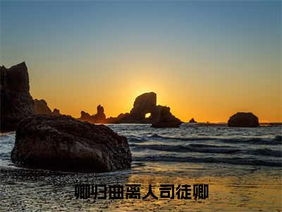 卿归曲离人司徒卿（司徒卿）全文免费在线阅读_卿归曲离人司徒卿全文免费阅读无弹窗大结局