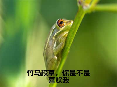 竹马校草，你是不是喜欢我结局_（路放谢小渔）竹马校草，你是不是喜欢我最新章节列表_笔趣阁