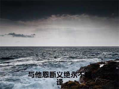 （后续）+（全文）（沈雨萱萧帝霖）与他恩断义绝永不相逢精彩小说-沈雨萱萧帝霖全章节免费阅读