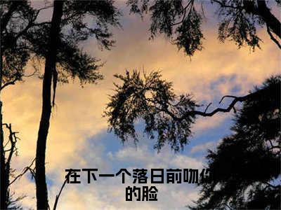 小说《在下一个落日前吻你的脸》全文免费阅读无弹窗-在下一个落日前吻你的脸（陆安霆温子语）小说全文在线赏析_笔趣阁