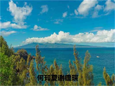 【新书】《何知夏谢霆琛》全文免费阅读无弹窗大结局-谢霆琛何知夏全文全章节免费阅读