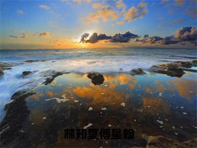 林知夏傅星翰（傅星翰林知夏）全文免费阅读无弹窗大结局_林知夏傅星翰全文完整无删减版免费阅读