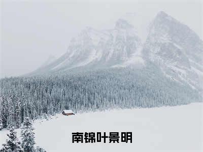 南锦叶景明全文免费阅读无弹窗大结局_（南锦叶景明小说）南锦叶景明在线免费阅读