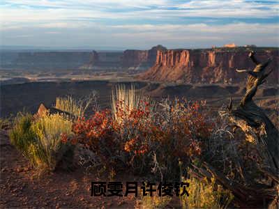 顾雯月许俊钦（顾雯月许俊钦）小说全文-顾雯月许俊钦小说免费阅读大结局