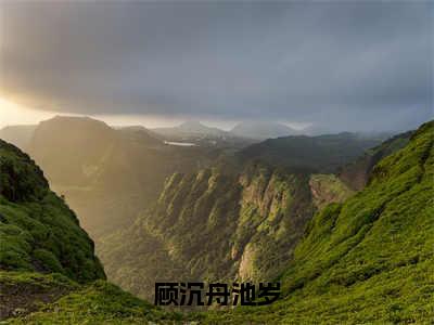 顾沉舟池岁在线阅读（池岁顾沉舟）全文免费阅读大结局_顾沉舟池岁免费最新章节列表_笔趣阁