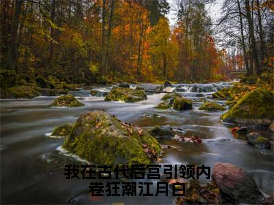 江月白（江月白）是什么小说-（我在古代后宫引领内卷狂潮江月白）无弹窗免费阅读大结局最新章节列表_笔趣阁