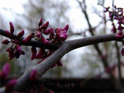 南宫绝江雪小说（南宫绝江雪）免费阅读_南宫绝江雪小说免费阅读-笔趣阁