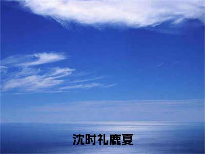 鹿夏沈时礼（沈时礼鹿夏）全文免费阅读无弹窗大结局_沈时礼鹿夏:鹿夏沈时礼最新章节列表_笔趣阁