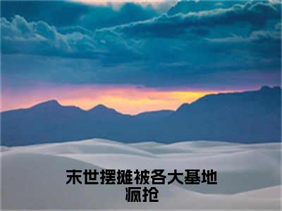 末世摆摊被各大基地疯抢全文免费阅读无弹窗大结局_南烟最新章节列表_笔趣阁