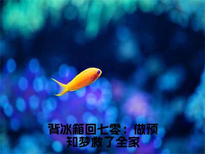 《背冰箱回七零：做预知梦救了全家》周念云（大结局小说全集完整版）周念云小说_背冰箱回七零：做预知梦救了全家全文阅读笔趣阁