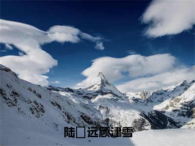 陆垚远顾津雪（顾津雪陆垚远全章节完整版）免费阅读_（顾津雪陆垚远）陆垚远顾津雪全文无删减免费阅读