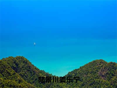 陆景川姜乐宁陆景川姜乐宁最新章节免费阅读-陆景川姜乐宁小说推荐陆景川姜乐宁精彩章节在线阅读