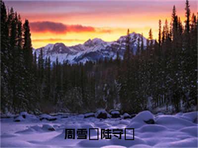 周雪珺陆守璟（陆守璟周雪珺）免费阅读无弹窗-小说周雪珺陆守璟大结局全文免费阅读