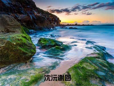 沈沅谢回（沈沅谢回）全文免费阅读无弹窗大结局_沈沅谢回小说最新章节列表_笔趣阁