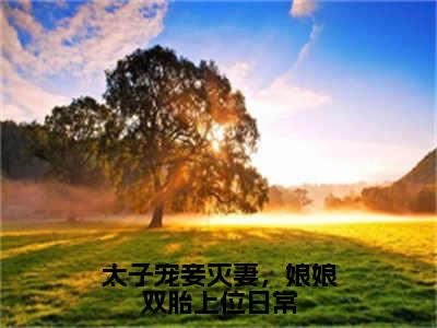 周君湛姜时若小说（太子宠妾灭妻，娘娘双胎上位日常）全文免费读无弹窗大结局_周君湛姜时若小说免费阅读-笔趣阁（太子宠妾灭妻，娘娘双胎上位日常）