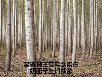 至尊神主女魔头带仨奶团子上门找爹最新章节（龙彻）小说推荐阅读-新书至尊神主女魔头带仨奶团子上门找爹精彩阅读