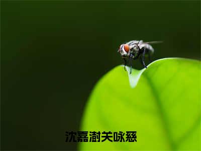 沈嘉澍关咏慈小说（沈嘉澍关咏慈）全文免费阅读_（沈嘉澍关咏慈小说）沈嘉澍关咏慈小说精彩在线赏析