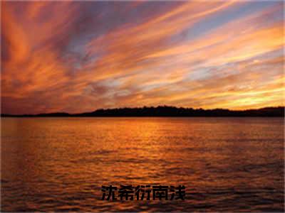 南浅沈希衍（沈希衍南浅）小说免费阅读_南浅沈希衍精选小说全文阅读（沈希衍南浅）