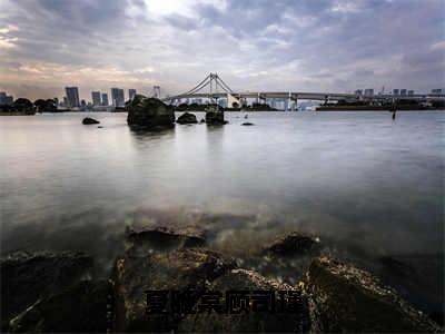 夏晚棠顾司瑾全文免费阅读无弹窗大结局_（夏晚棠顾司瑾）夏晚棠顾司瑾热门章节在线阅读笔趣阁（夏晚棠顾司瑾）