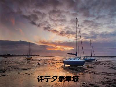 许宁夕萧聿城（许宁夕萧聿城）全文免费阅读-许宁夕萧聿城（许宁夕萧聿城）全章节完整版在线阅读