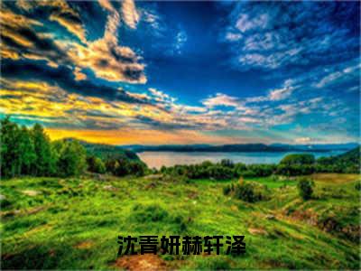 沈青妍赫轩泽全文小说（沈青妍赫轩泽）全文阅读-沈青妍赫轩泽在线小说免费阅读