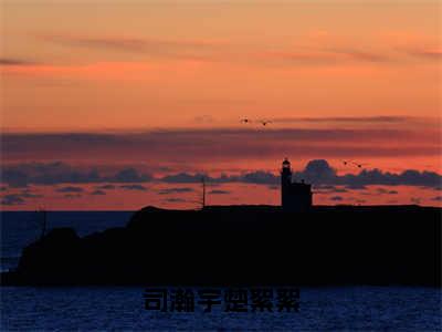 （司瀚宇楚絮絮）楚絮絮司瀚宇小说全文免费阅读无弹窗大结局_楚絮絮司瀚宇（司瀚宇楚絮絮）最新章节列表笔趣阁