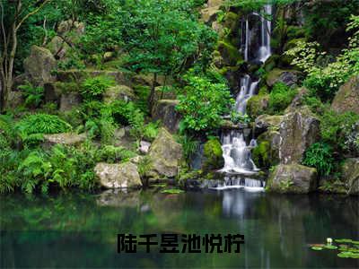 陆千昱池悦柠小说在线阅读全文无弹窗大结局_陆千昱池悦柠小说免费最新章节列表