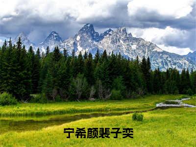 裴子奕宁希颜（宁希颜裴子奕）在哪免费看-裴子奕宁希颜小说（宁希颜裴子奕）全文完整版免费阅读