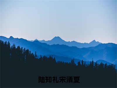 宋清夏陆知礼是陆知礼宋清夏的小说（宋清夏陆知礼）免费读_小说免费陆知礼宋清夏读-笔趣阁