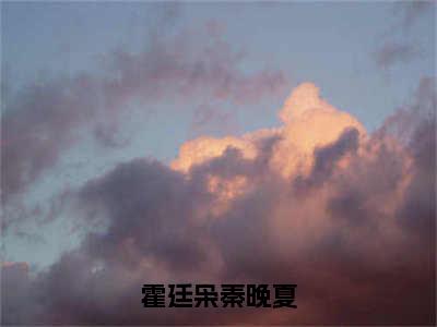 霍廷枭秦晚夏（秦晚夏霍廷枭）全文免费阅读无弹窗大结局_（秦晚夏霍廷枭）章节列表_笔趣阁