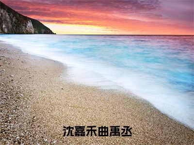 沈嘉禾曲禹丞（曲禹丞沈嘉禾）全文免费阅读无弹窗大结局_沈嘉禾曲禹丞最新章节列表_笔趣阁