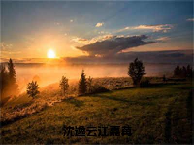 江嘉苒沈逸云（沈逸云江嘉苒）免费小说-沈逸云江嘉苒全文在线阅读