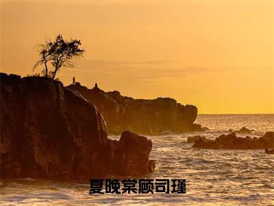 顾司瑾夏晚棠小说在线阅读（夏晚棠顾司瑾）全文免费阅读无弹窗大结局_顾司瑾夏晚棠小说免费最新章节列表