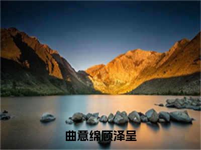 曲意绵顾泽呈（顾泽呈曲意绵）全文免费阅读最新章节大结局_曲意绵顾泽呈最新章节列表_笔趣阁