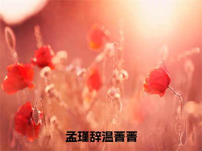 热门小说温菁菁孟瑾辞全文免费阅读无弹窗大结局-孟瑾辞温菁菁全文无弹窗免费阅读大结局