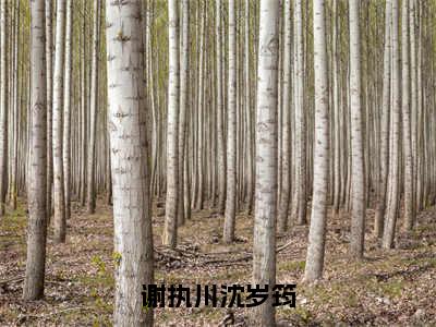 谢执川沈岁筠免费阅读（沈岁筠谢执川）完整版全文全章节阅读