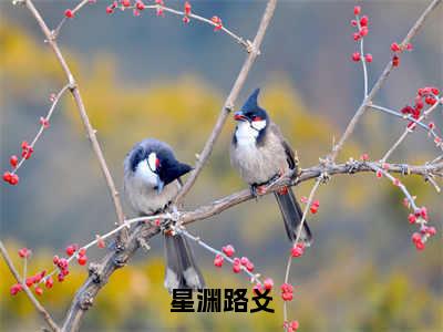 星渊路爻小说大结局完整版阅读，路爻星渊小说全文在线阅读