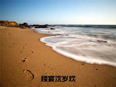 楼宴沈岁欢小说（沈岁欢楼宴）全文免费阅读无弹窗_楼宴沈岁欢小说全文免费阅读）沈岁欢楼宴最新章节列表笔趣阁