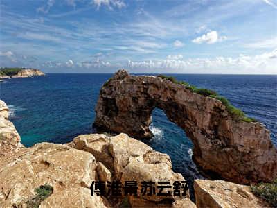 苏云舒傅淮景（傅淮景苏云舒）全文免费阅读无弹窗大结局_（傅淮景苏云舒无弹窗）最新章节免费阅读_笔趣阁