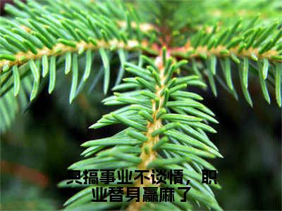 莫晴岚（只搞事业不谈情，职业替身赢麻了）小说全文无删减-莫晴岚小说免费阅读大结局