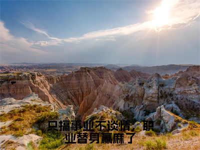 只搞事业不谈情，职业替身赢麻了莫晴岚小说-只搞事业不谈情，职业替身赢麻了小说免费阅读