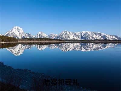 陆岑祁司礼（祁司礼陆岑小说）最新在线阅读_祁司礼陆岑小说免费阅读