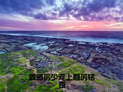 霸道厉少宠上瘾厉铭臣全文小说（夏念儿厉铭臣）全文阅读-霸道厉少宠上瘾厉铭臣在线小说免费阅读