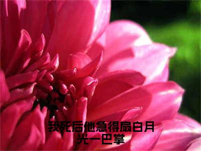 夏清焰江城慎的小说（我死后他急得扇白月光一巴掌）免费阅读_夏清焰江城慎小说免费阅读-笔趣阁（我死后他急得扇白月光一巴掌）