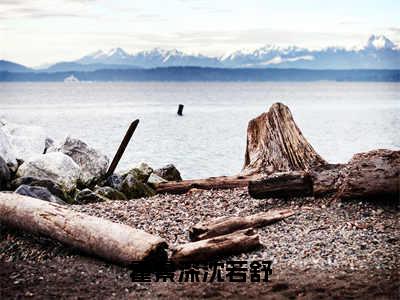 （沈若舒霍景深小说完整版）霍景深沈若舒全文免费阅读-（霍景深沈若舒）沈若舒霍景深小说最新章节列表