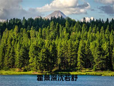 沈若舒霍景深（霍景深沈若舒）免费全文阅读小说_（沈若舒霍景深）霍景深沈若舒最新章节列表